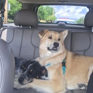 Meet your Posher, Carla